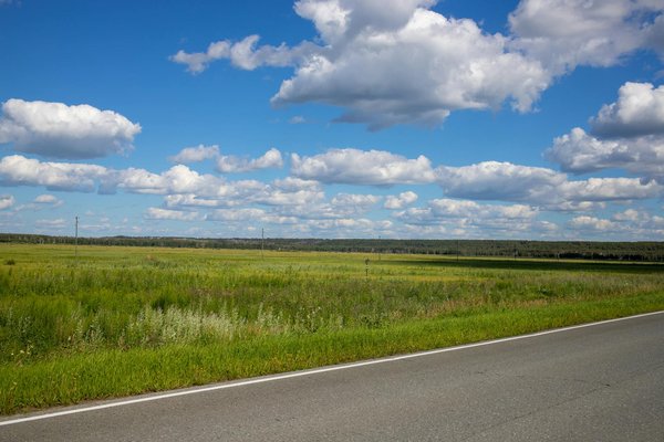 Leasing voiture : avec ou sans option d'achat ?